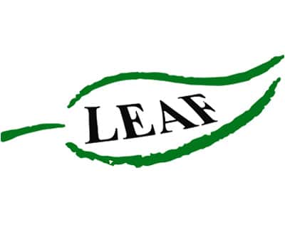 Leaf